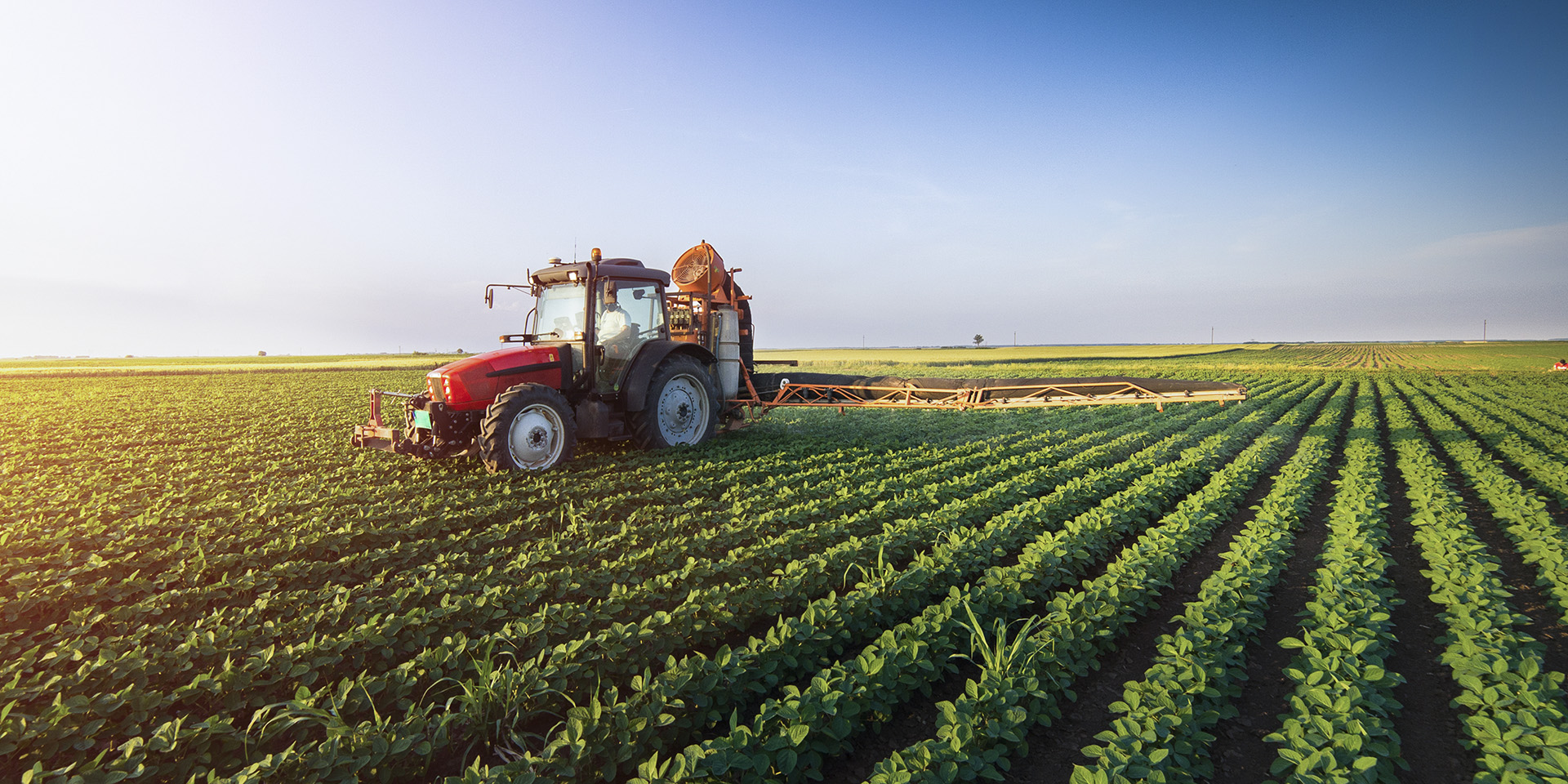 Tăng cường ứng dụng cảm biến IoT trong nông nghiệp