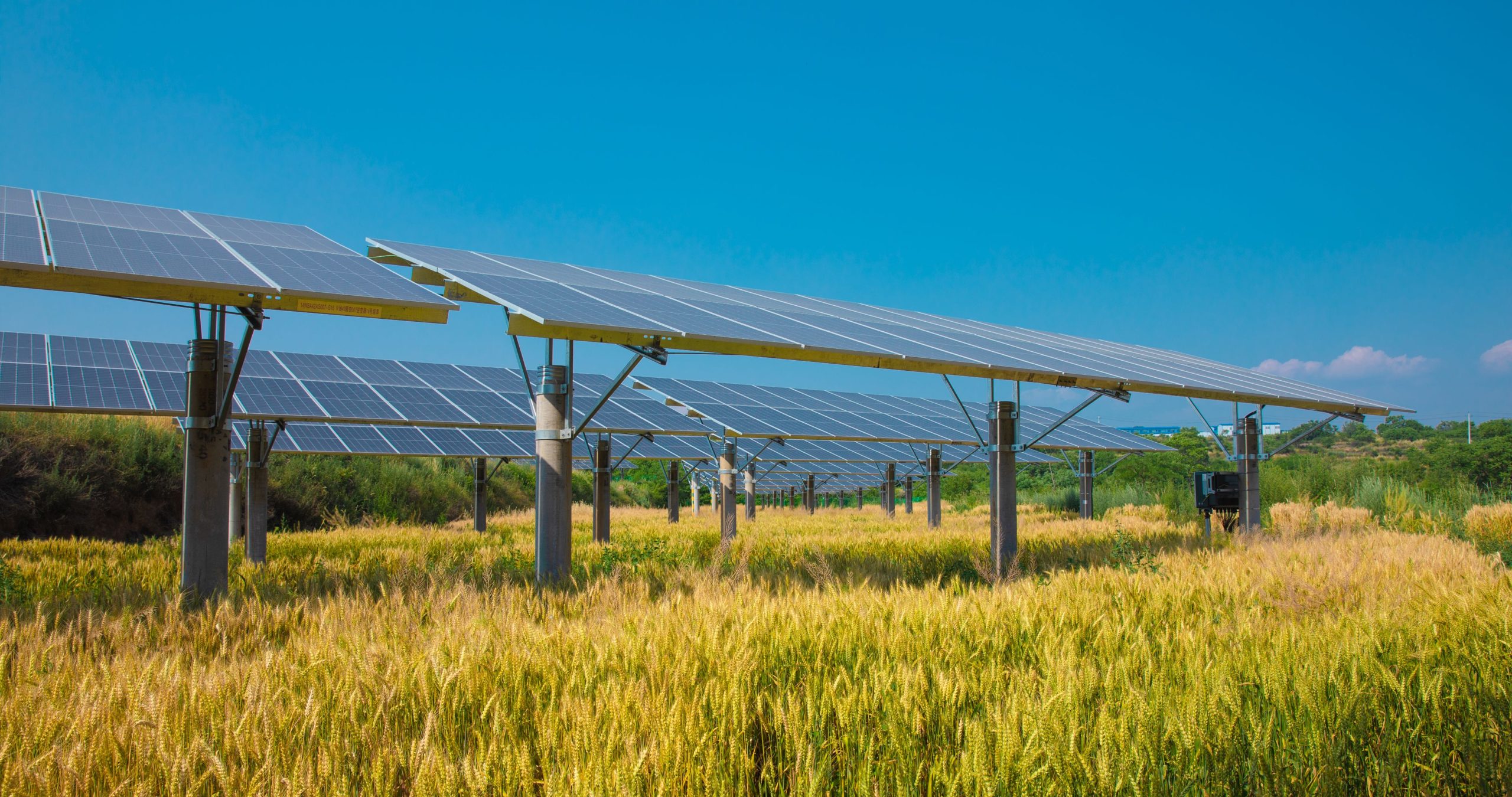 Năng lượng tái tạo thúc đẩy sản xuất nông nghiệp