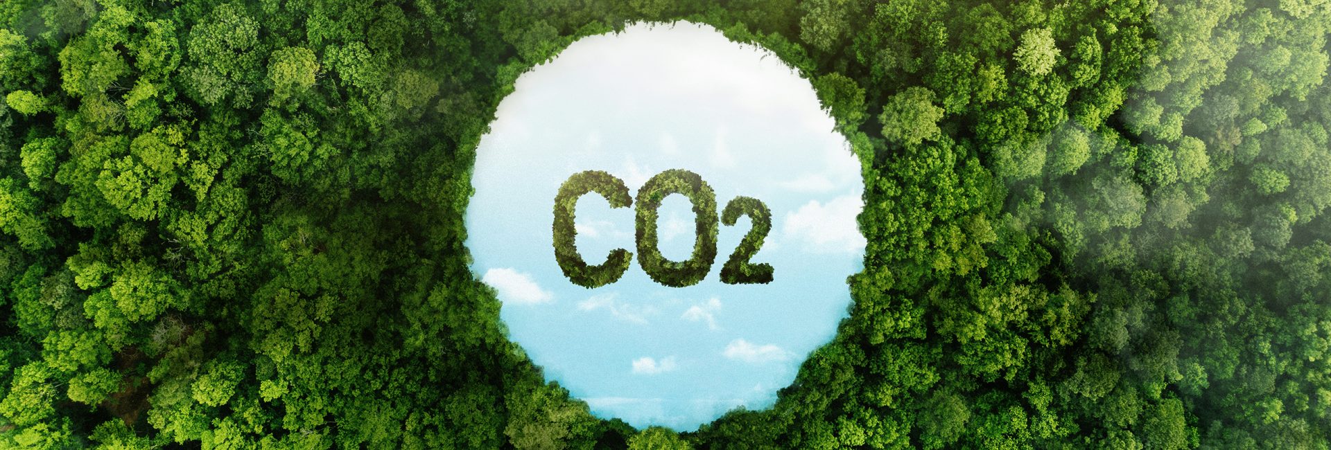 Tín chỉ Carbon với doanh nghiệp – tầm quan trọng và & những lưu ý