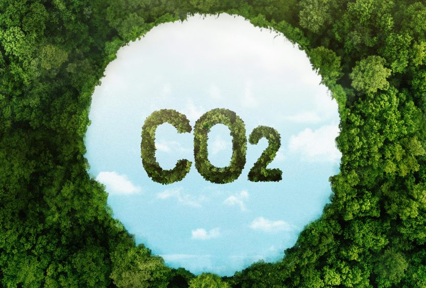 minh họa: Tín chỉ Carbon với doanh nghiệp - tầm quan trọng và & những lưu ý