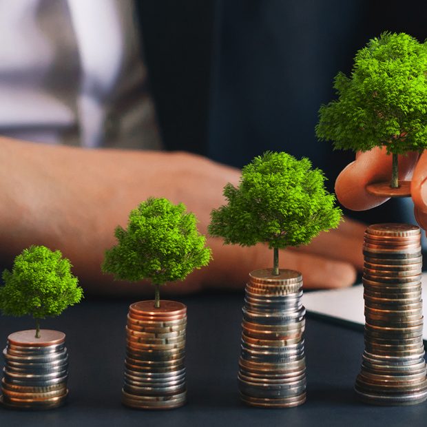 Thúc đẩy phát triển bền vững thông qua thị trường trái phiếu xanh