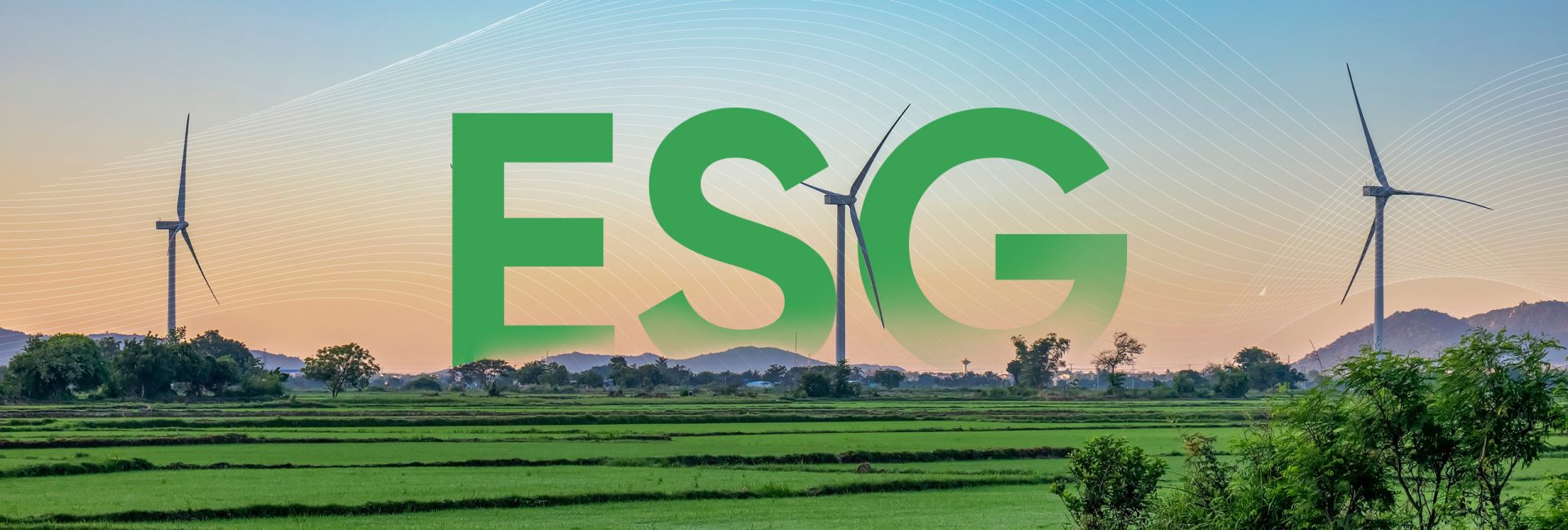 ESG là gì? Tiêu chuẩn ESG là gì? 1 số chính sách, quy định về ESG tại Việt Nam và trên thế giới