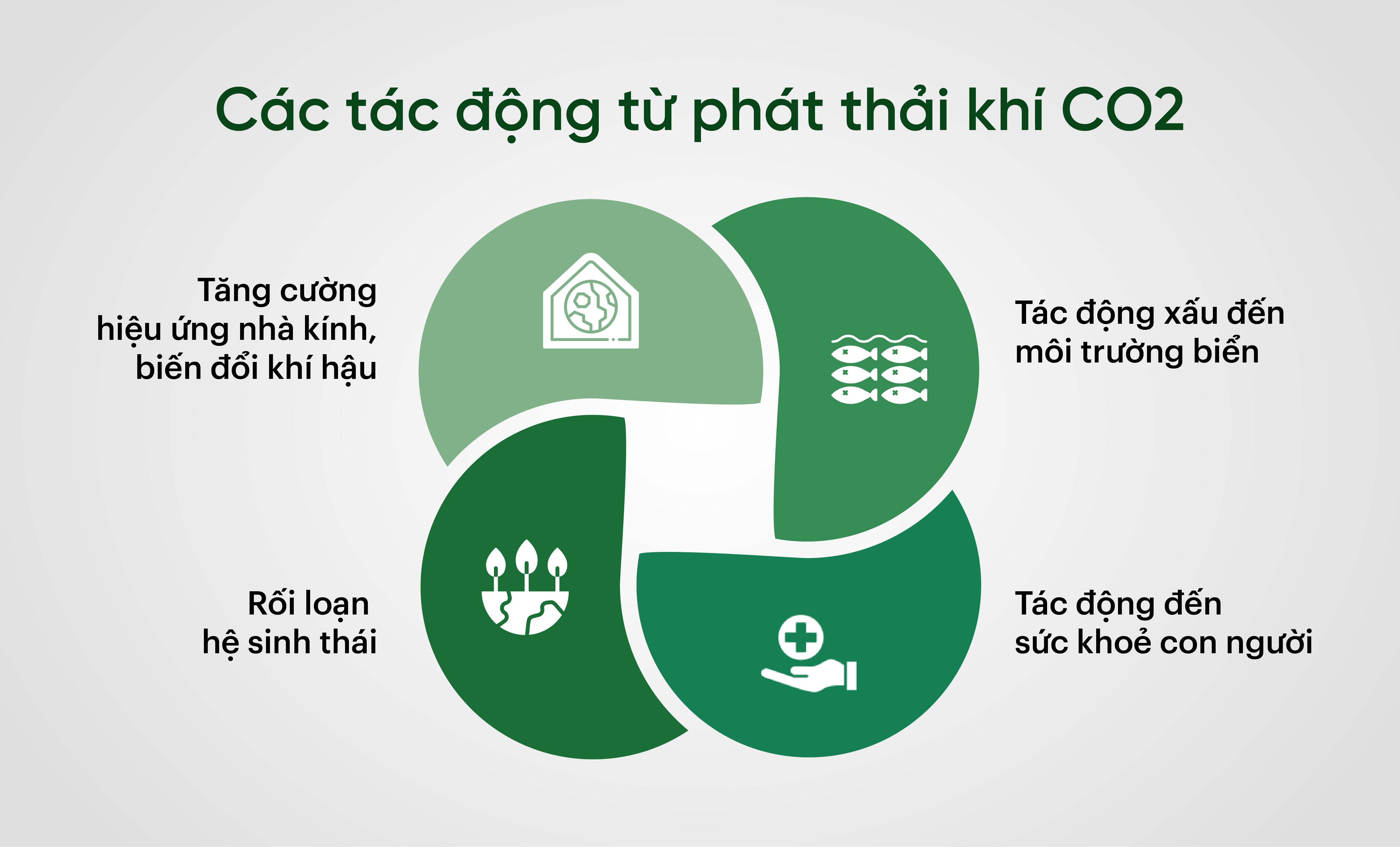 Các tác động từ phát thải khí CO2 là gì