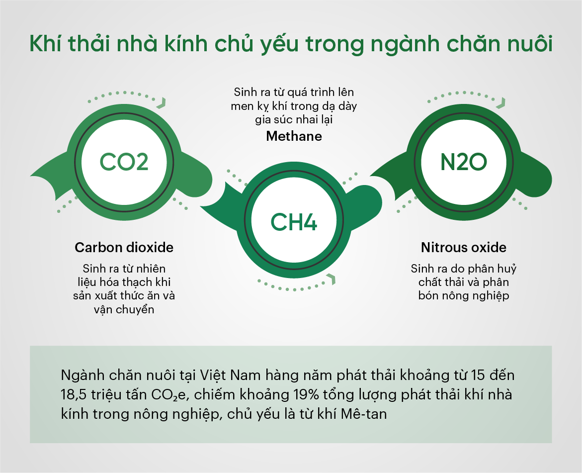 Khí thải nhà kính chủ yếu trong ngành chăn nuôi