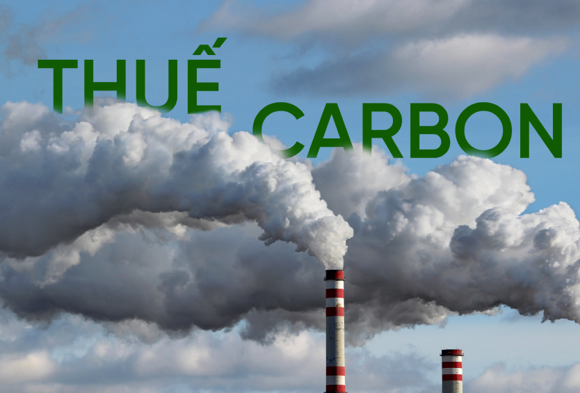 Thuế Carbon là gì (Carbon Tax là gì)? Thực trạng thuế Carbon tại Việt Nam và EU đánh thuế Carbon