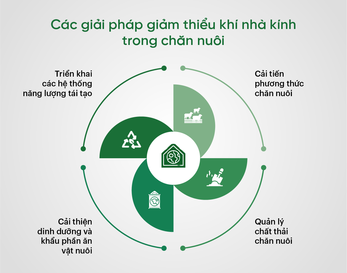 các giải pháp giảm thiểu khí nhà kính trong chăn nuôi